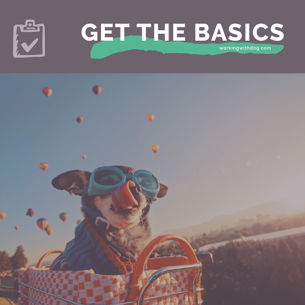 Unveiling Your Brand Refresh Or Doing A Grand Opening