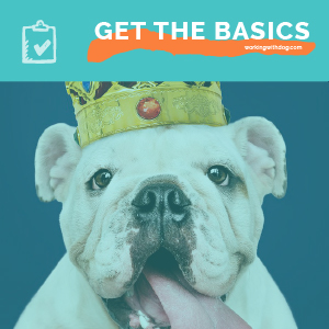 Find and Improve Your Top 5 Touchpoints