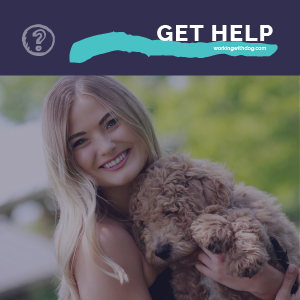 August 2020 Live Q&A and Helpful Resources