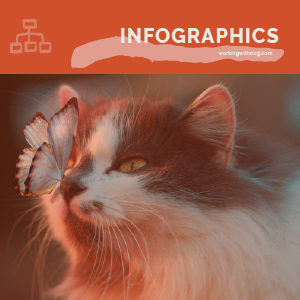 Winter Infographics