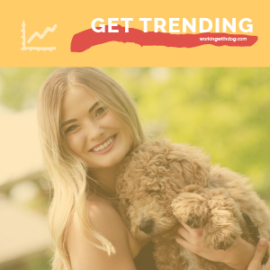 August 2020 Pet Trends & Upcoming Topics