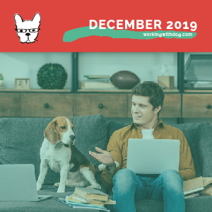 December 2019: Self Assessment & Year In Review
