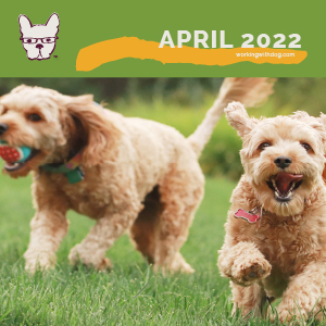 April 2022 Checklist