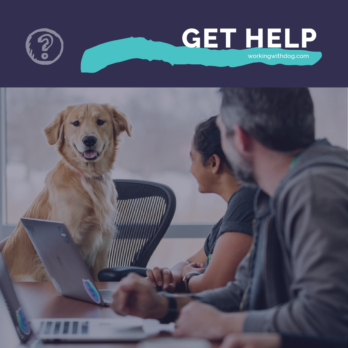 July 2020 Live Q&A and Helpful Resources