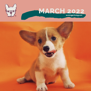 March 2022 Checklist