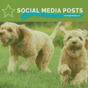 April 2022 Social Media Posts