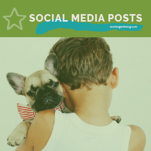 January 2022 Social Media Templates