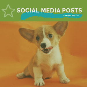 March Social Media Templates