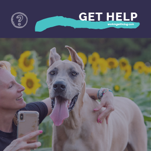 June 2020 Live Q&A and Helpful Resources