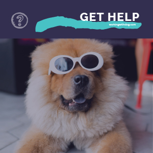 May 2020 Live Q&A and Helpful Resources