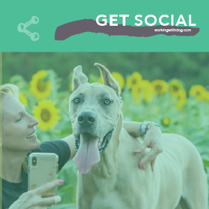 Steal This: June Social Media Templates