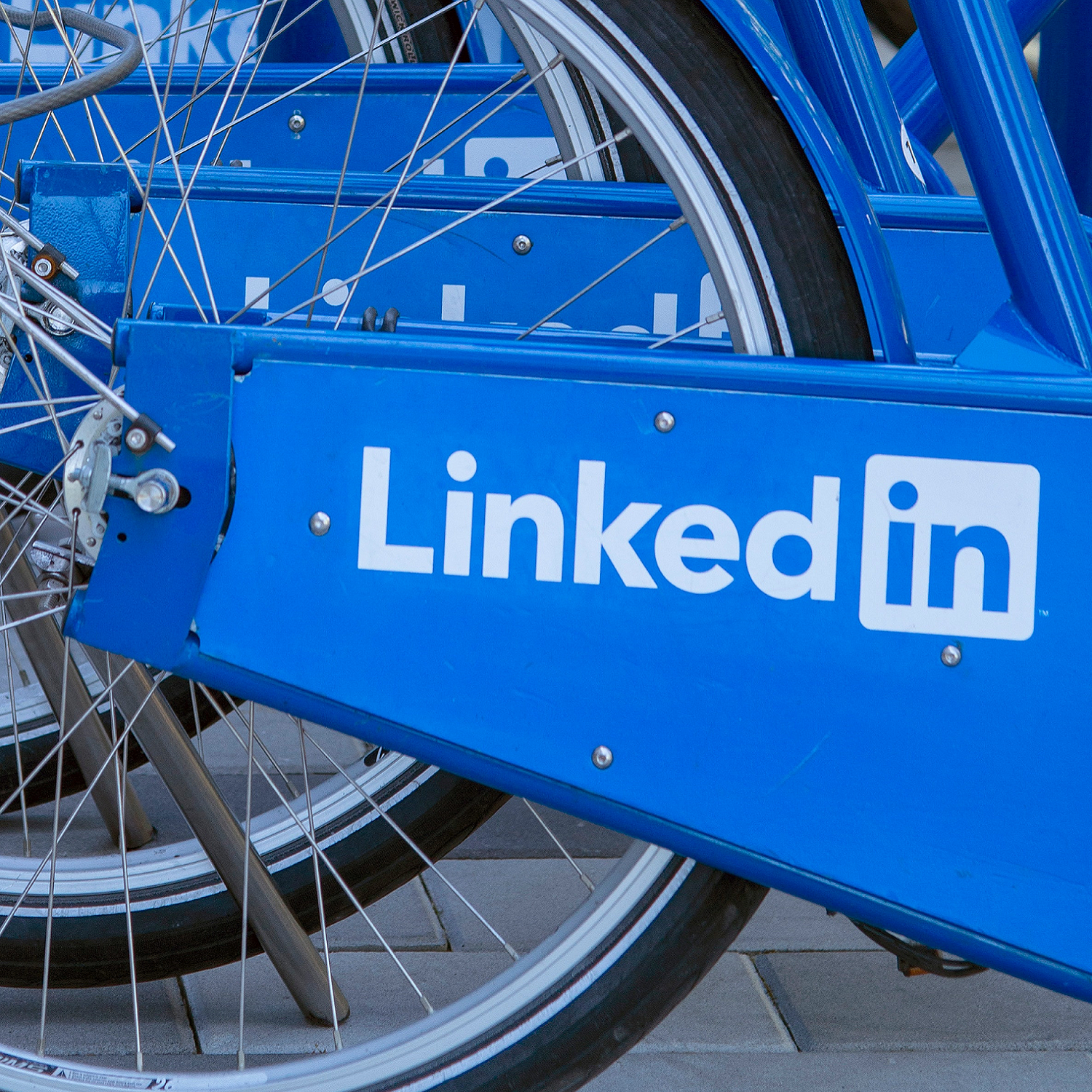 How to Transfer Pet Business Contacts on LinkedIn