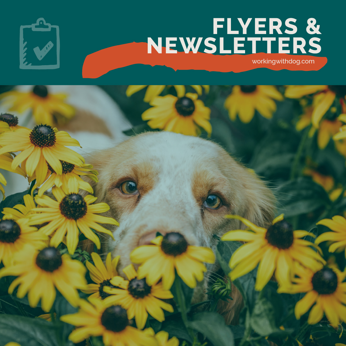 3 Pet-Friendly Gardening Newsletter Templates for Pet Businesses