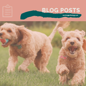 Relationships Blog Post Templates